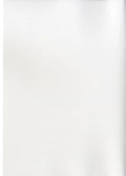 Page 29 of GyanFumi Try