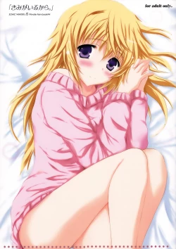 Page 1 of Kimi ga Iru kara