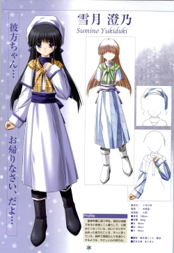 Page 29 of SNOW ART WORKS