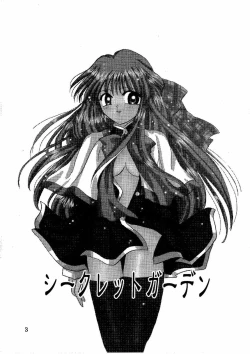 Page 2 of Secret Garden