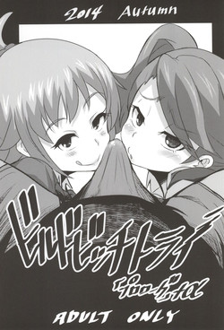 Download Build Bitch Try