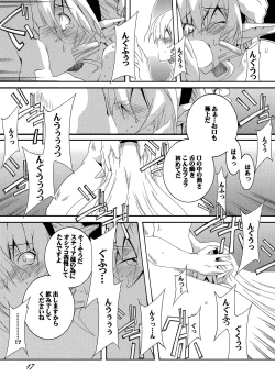 Page 17 of Dorei Kishi Stia III