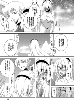 Page 25 of Dorei Kishi Stia III