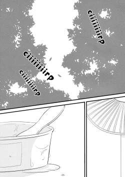 Page 5 of DELIGHTFUL SUMMER