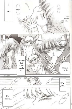 Page 3 of Sailor Venus - The Stray Cat