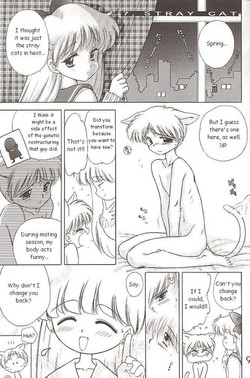 Download Sailor Venus - The Stray Cat