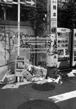 Page 17 of Shibuya no Shibuya