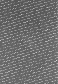 Page 2 of Musha Miko Dajoku Emaki