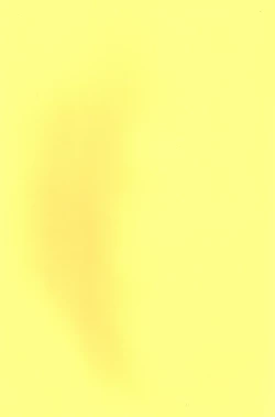 Page 2 of Fushimi-san ga Futari ni Natte Misaki wo Semeru Hon