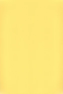 Page 3 of Fushimi-san ga Futari ni Natte Misaki wo Semeru Hon