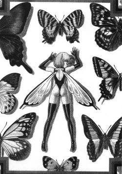 Page 173 of Bondage Fairies Zannin Shimai