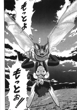 Page 234 of Bondage Fairies Zannin Shimai