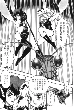 Page 29 of Bondage Fairies Zannin Shimai