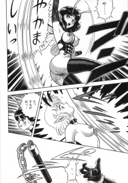 Page 334 of Bondage Fairies Zannin Shimai