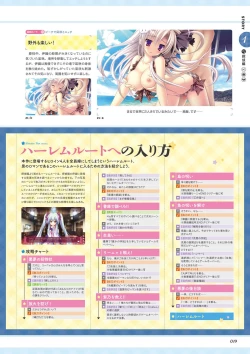 Page 21 of Unmei Senjou no φ Visual Fanbook