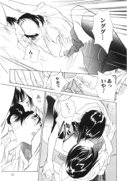 Page 46 of Shuuchi no Yakata