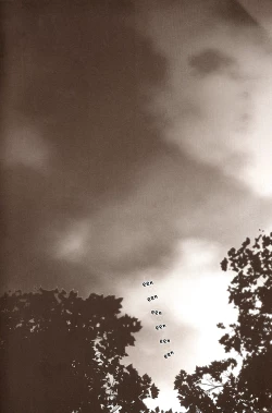 Page 17 of Sukoshi Dake Wagamama Ii Desu ka? | Can I be just a little bit more selfish?