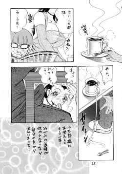 Page 25 of Hime Sakunyuu