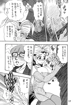 Page 27 of Hime Sakunyuu