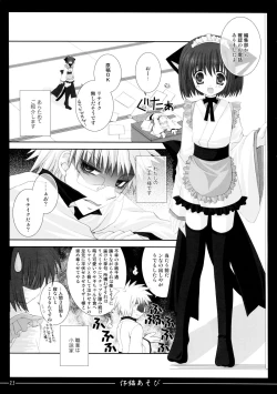 Page 23 of Koneko Asobi