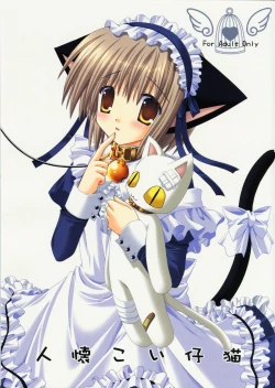 Page 1 of Hitonatsukoi Koneko