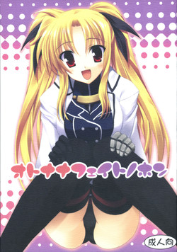 Download Otona na Fate no hon