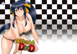 Page 2 of Akeno-san to DxD