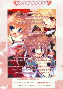 Page 3 of Mahou Shoujo Nanoha EX