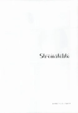 Page 14 of Stromatolite