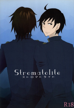 Download Stromatolite