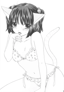 Page 30 of HONEY CATS