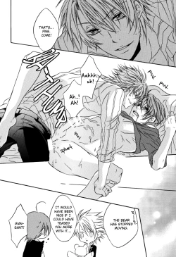 Page 28 of Teddy bear mind