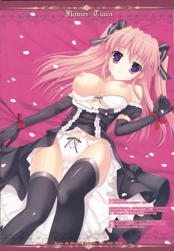 Page 13 of FLOWER TIARA