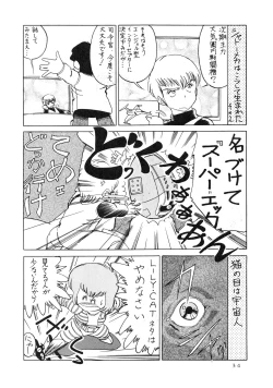 Page 36 of Getsumen Shukujo