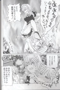 Page 12 of 半獣半霊騒動記