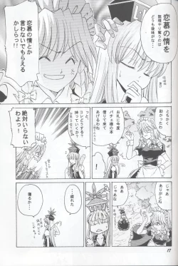 Page 17 of 半獣半霊騒動記