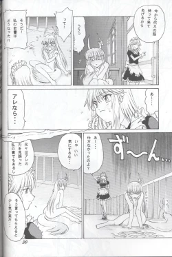 Page 30 of 半獣半霊騒動記