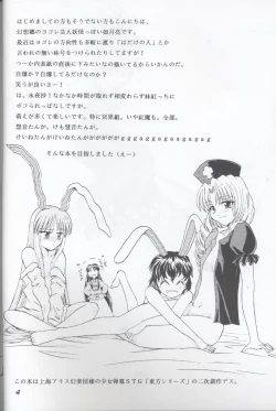 Page 4 of 半獣半霊騒動記