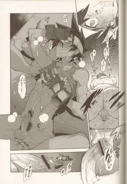 Page 18 of Campanula.SIDE:B