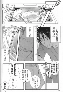 Page 21 of Replay. Short track