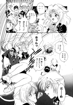 Page 67 of Neko Masshigura!