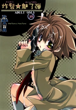 Page 25 of Sakuretsu Miryoudan