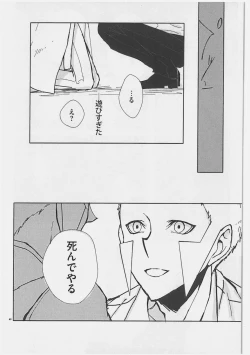 Page 41 of Role Play