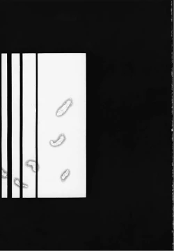 Page 36 of Aitai... COLLECTION