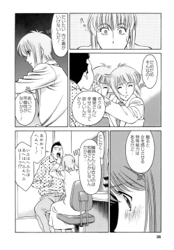 Page 37 of Hitomi no Karte 4