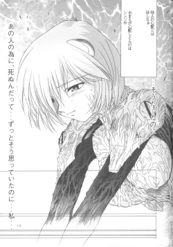 Page 14 of Ayanami Zero Shiki