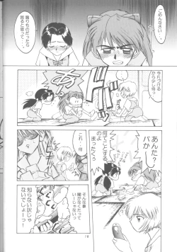 Page 17 of Ayanami Zero Shiki