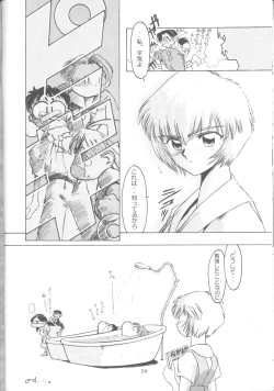 Page 25 of Ayanami Zero Shiki
