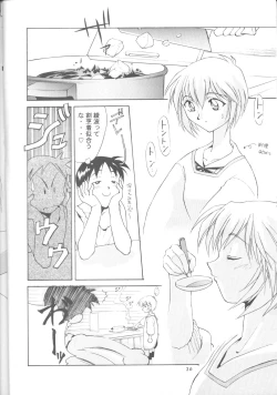 Page 35 of Ayanami Zero Shiki