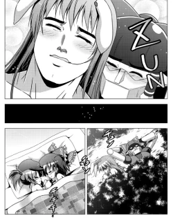 Page 49 of Hakurei Reimu no Tenka Tottaru de!